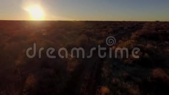 日落时拍摄纳米比亚的丛林和草原视频的预览图