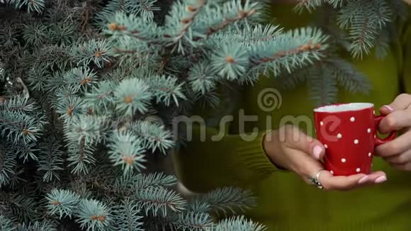 女人的手在松枝的背景下捧着一个舒适的红色杯子视频的预览图
