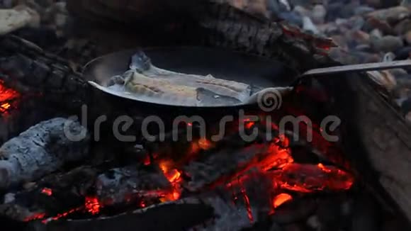锅煎鱼过热煤视频的预览图