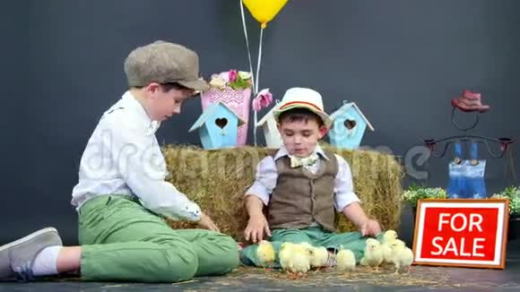 两个穿着时髦的男孩和小鸭子小鸡玩耍背景是干草堆里的彩色鸟舍视频的预览图