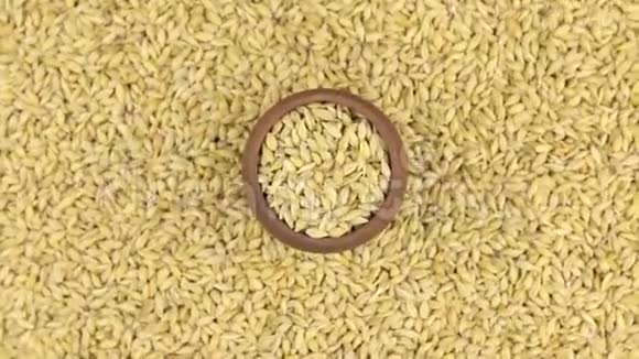 大麦在一个陶罐中旋转和接近站在大麦种子的背景上视频的预览图