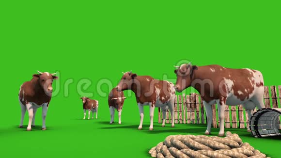 奶牛场围栏动物下绿幕三维渲染动画视频的预览图