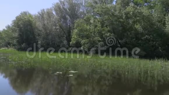在帆船上的录像俄罗斯伏尔加河沿着有绿色植被的海岸或岛屿移动视频的预览图