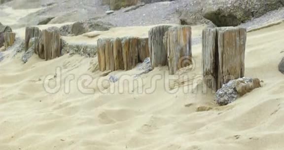 沙子里的木柱视频的预览图