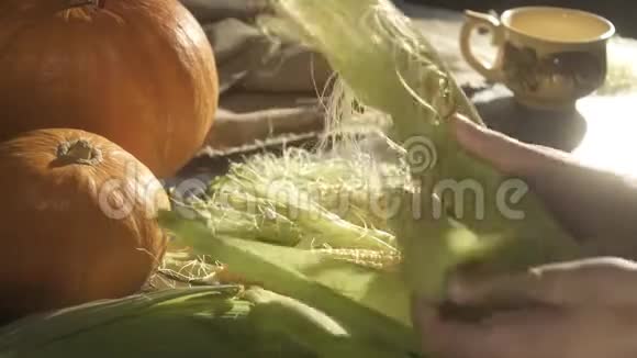 女孩清理玉米的耳朵南瓜和小麦的静止生活背景视频的预览图