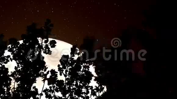 森林和巨大的塞皮亚月亮视频的预览图