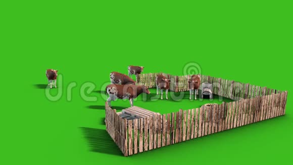 奶牛场围栏动物草地顶部绿色屏幕3D渲染动画视频的预览图