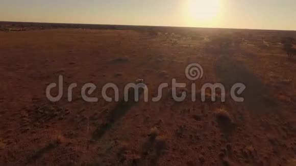 越野车正在大草原上乘着非洲日落的光芒视频的预览图