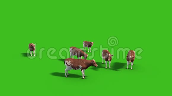 奶牛场动物草地顶部绿色屏幕三维渲染动画视频的预览图