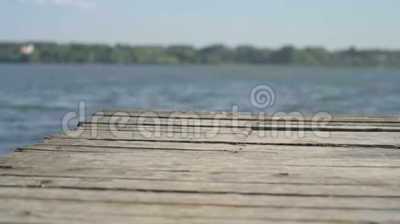 夏天女人在木墩上散步视频的预览图