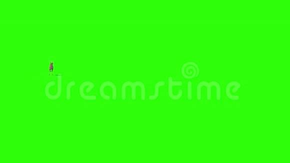 瞪羚萨凡纳海滩前绿色屏幕3D渲染动画视频的预览图