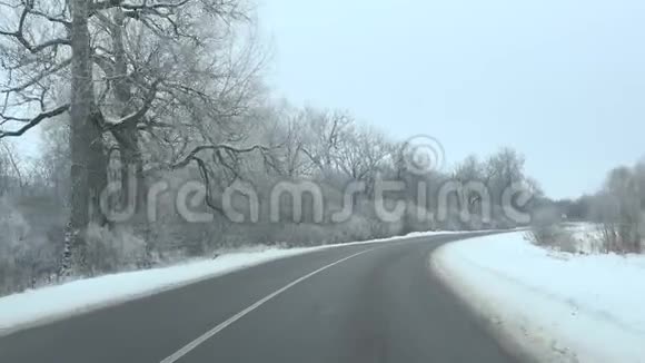 冬季在结冰的树木和地面之间的路面上驾驶4K视频的预览图