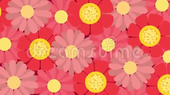 动画旋转红色和粉红色的花花朵旋转视频的预览图