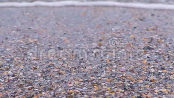 沙滩上海波带着小贝壳平静的大海视频的预览图