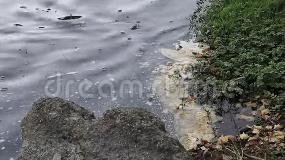 在法国奥德河被污染的水视频的预览图