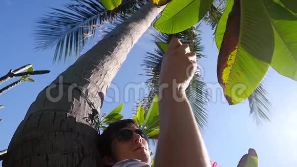 男子使用移动智能手机户外躺在棕榈树下慢动作1920x1080视频的预览图