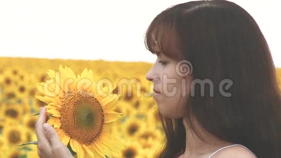 长发女孩抚摸黄色向日葵的手视频的预览图