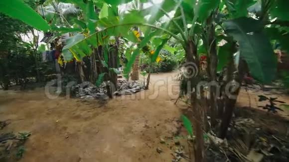 热带丛林中背包客旅游村的景色视频的预览图