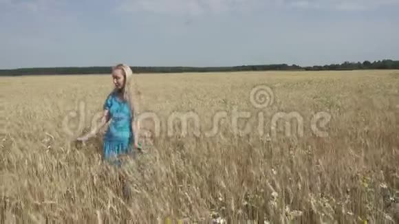 这位年轻快乐的女人一头长发穿着蓝色的连衣裙穿过成熟的麦田直到阳光明媚的夏日视频的预览图
