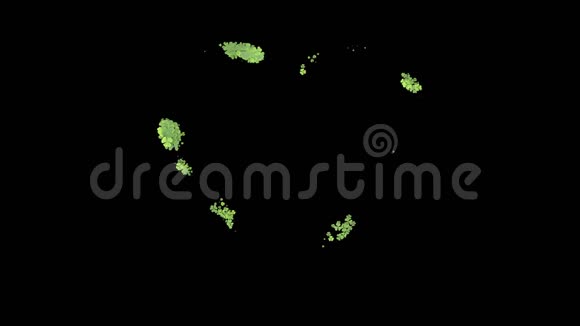 种植三叶草绿叶遮住了屏幕种植草动画与阿尔法哑光视频的预览图