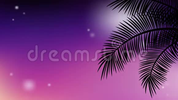 暑假背景与动画影片扭动的热带棕榈树在彩色夕阳天空树枝视频的预览图