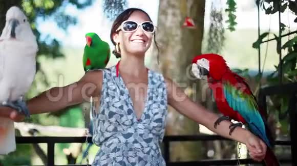 戴墨镜的快乐女人戴着鹦鹉蓝金鹦鹉鹦鹉白鹦鹉在苏梅乐园公园视频的预览图