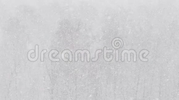 冬季森林上空的暴风雪景象视频的预览图