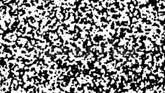 数字黑白图案抽象背景动画无缝环路动画背景壁纸视频的预览图