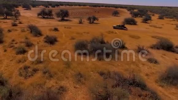 越野车与猎人沿着纳米比亚的小径视频的预览图