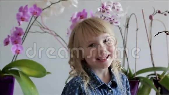 笑容可掬的少女脸庞近紫白色的兰花视频的预览图