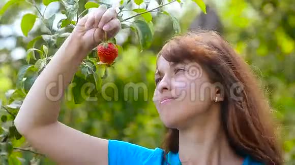 快乐的女孩在夏天的花园里笑红色的草莓在手上绿色的背景视频的预览图