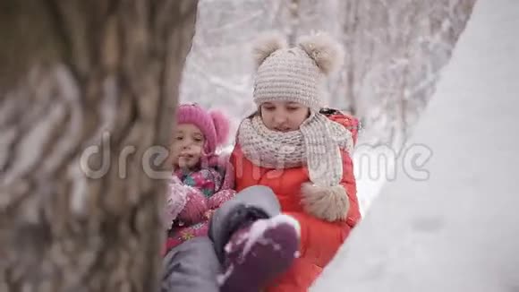 小女孩在树枝上摇摆白雪覆盖视频的预览图