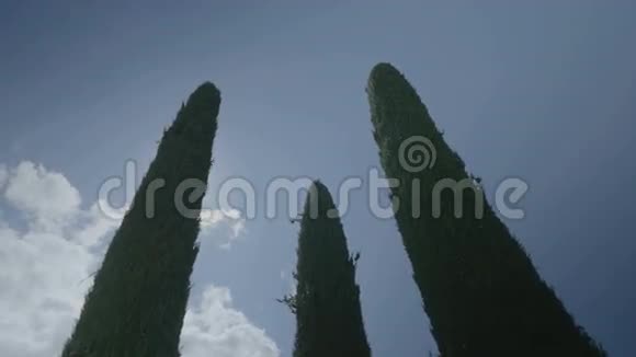 托斯卡纳三棵柏树后的阳光视频的预览图