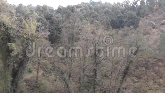 喜玛拉雅山库鲁谷春季山林视频的预览图
