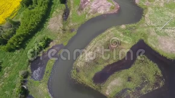 空中飞过美丽的河花田野夏日俄罗斯自然高清高清视频的预览图