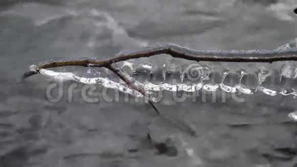 冰冻的树枝在河上视频的预览图