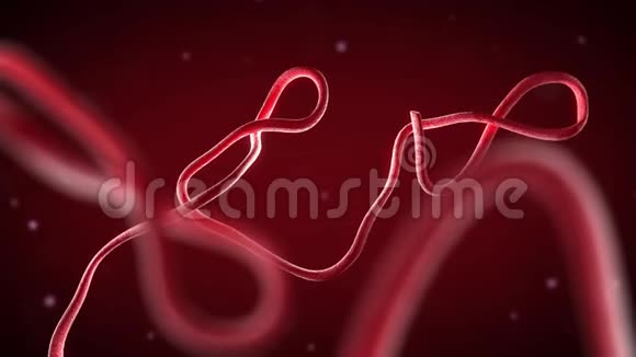 3D图示埃博拉病毒显微镜特写视频的预览图