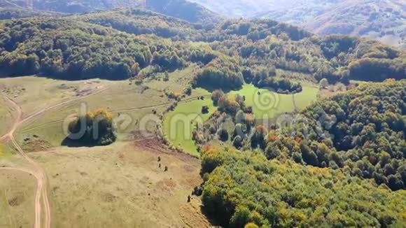 秋天的草地和森林4k空中无人机视频视频的预览图