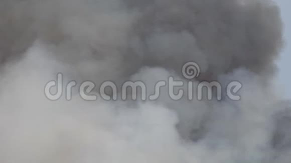 从快速移动的野火中向天空喷出烟雾视频的预览图