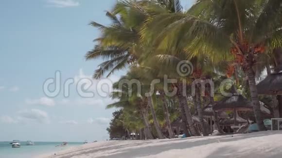 美丽的毛里求斯度假胜地景色白沙滩棕榈和天空视频的预览图
