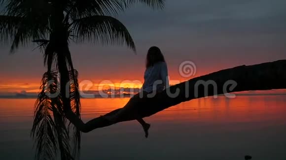 一个女孩坐在海滩上红色日落背景下的棕榈树上视频的预览图
