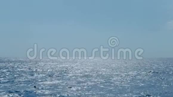 晴天地平线下的蓝色海洋浮标视频的预览图