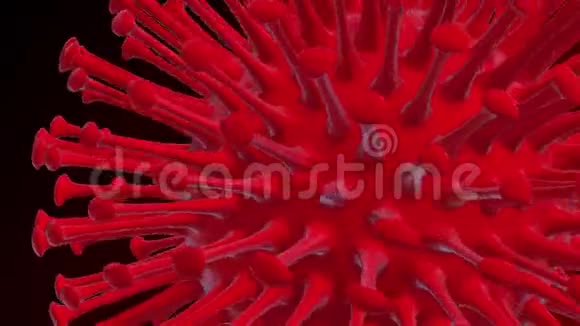 COVID19或冠状病毒2019电晕病毒3D循环动画视频的预览图