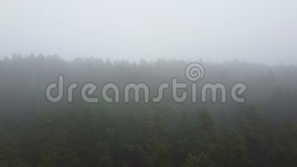 林强雾空中无人机视野视频的预览图