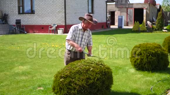 辛勤工作的退休园丁用剪刀修剪观赏灌木视频的预览图