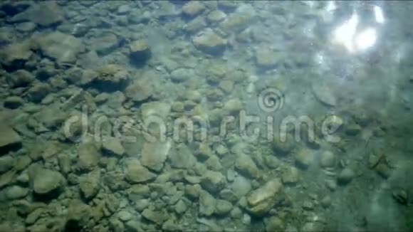浅岩填充水中的阳光灿烂视频的预览图