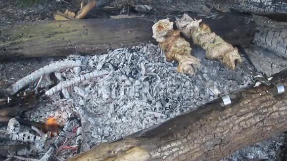 户外木桩上烤的什什烤串露营13s视频的预览图