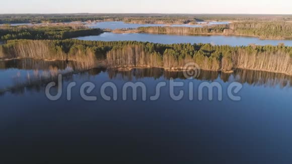 日落时有森林和池塘的风景画美丽的阳光空中观景视频的预览图