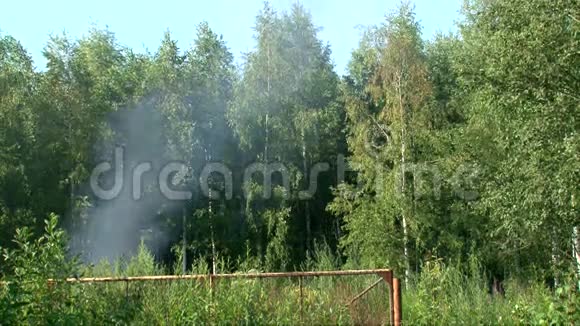 夏日森林里田野上燃烧的汽车冒出的烟视频的预览图