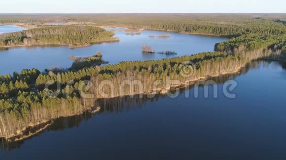 日落时有森林和池塘的风景画春天美丽的阳光空中观景视频的预览图